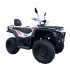 X-CROSS 300 4X4