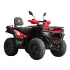 X-CROSS 300 4X4